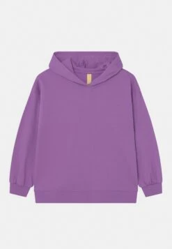 Friboo Hoodie 2 Pack - Sweater - Purple/Light Grey -Friboo da2dec0af23149c6bc5d46322ccb9f02